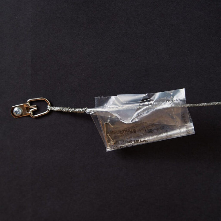 Wire hanger with plastic bag containing nail and hook on back of framed artwork of Champion Parade with handwritten words.