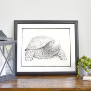 Framed artwork of University of Maryland UMD Testudo mascot made of hand drawn lyrics of University of Maryland fight song.