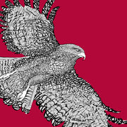 Art of St. Joseph Hawk of St. Joseph's University made of handwritten phrase "The Hawk Will Never Die" with red background.
