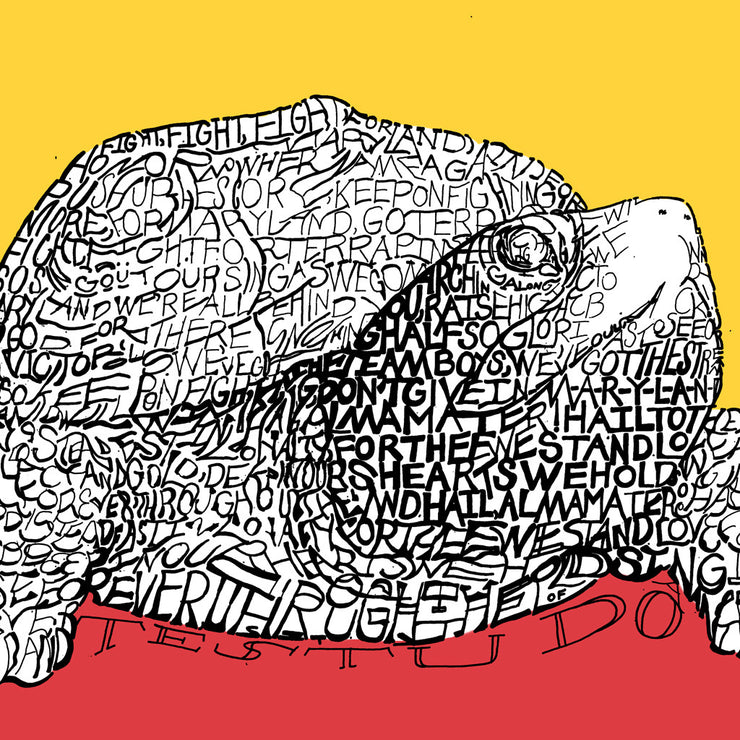 University of Maryland UMD Testudo turtle mascot art made of handwritten lyrics of the University of Maryland fight song.