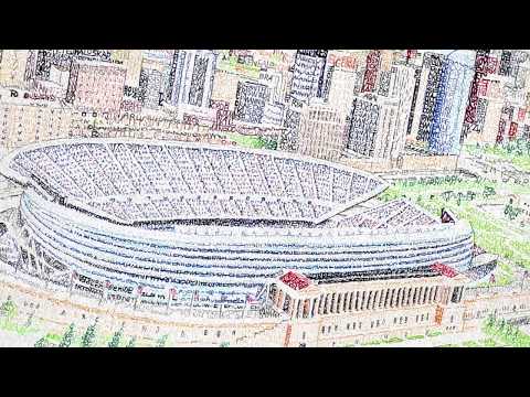 Soldier Field - Every Bear